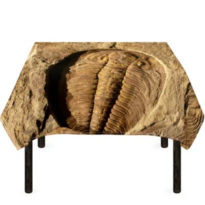 Trilobite Fossil Print Tablecloth Kitchen Home Decor